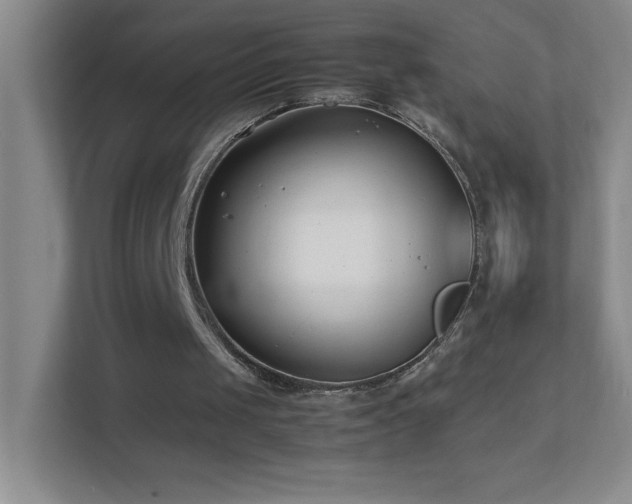 X0000113890049200909241425