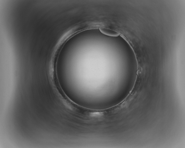 X0000113890053200909241425