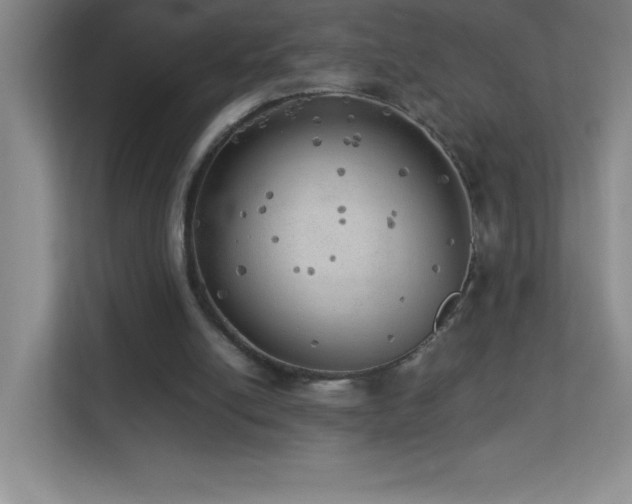 X0000113890054200909241425