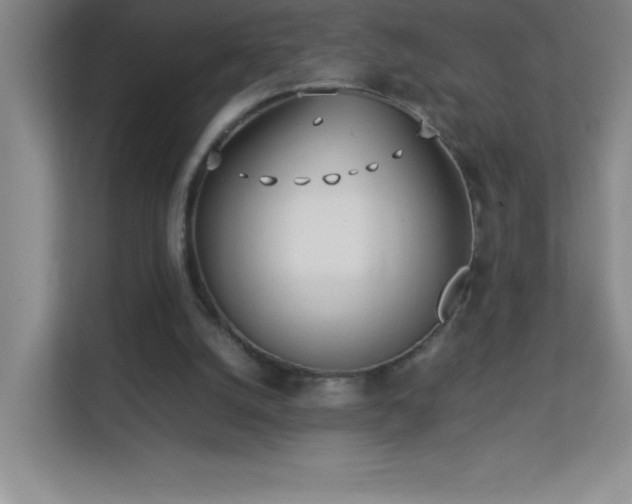 X0000113890056200909241425