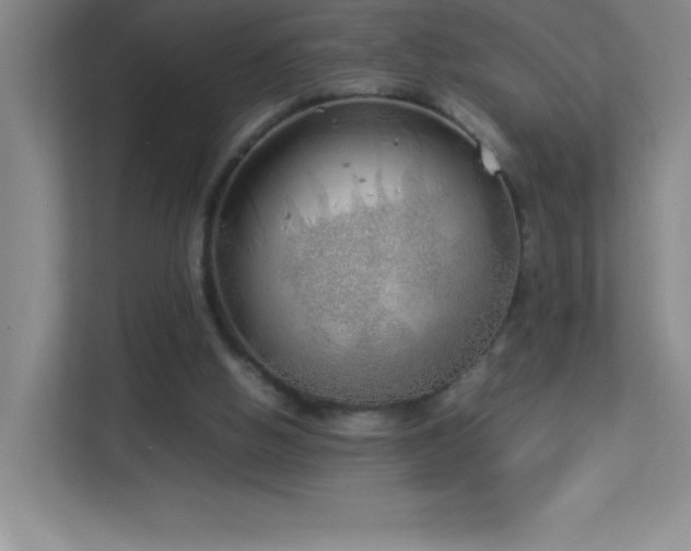 X0000113890058200909241425