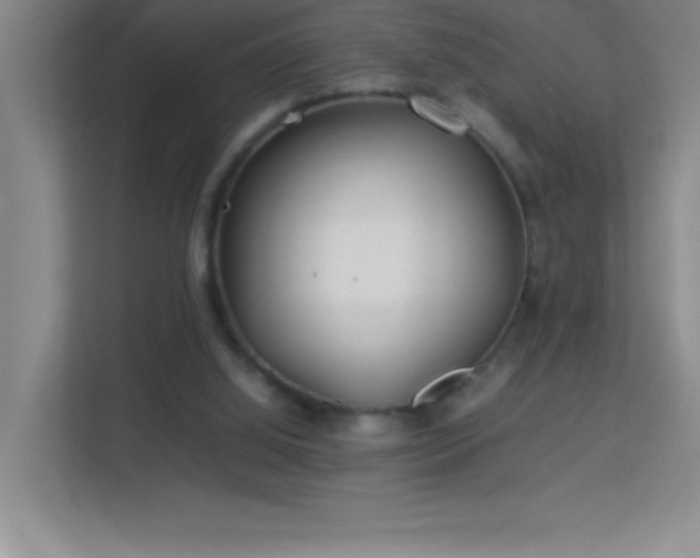 X0000113890060200909241425