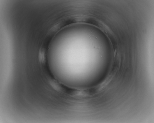 X0000113890074200909241426