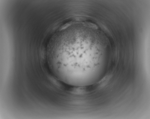 X0000113890078200909241426
