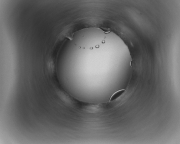 X0000113890086200909241426