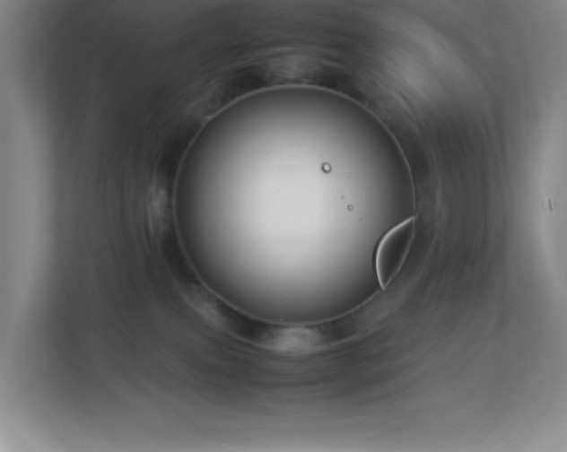 X0000113890087200909241426