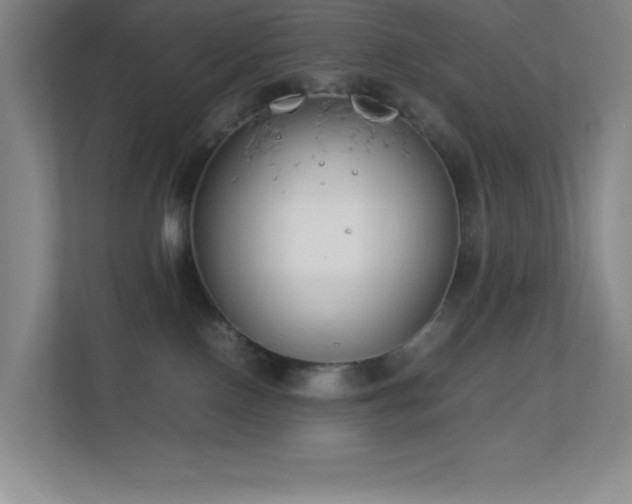 X0000113890090200909241426