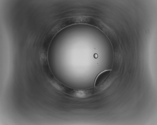 X0000113890091200909241426