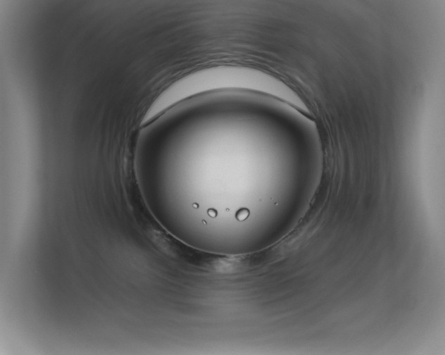 X0000113890092200909241426