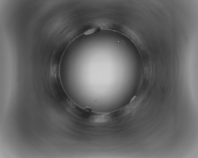X0000113890093200909241426