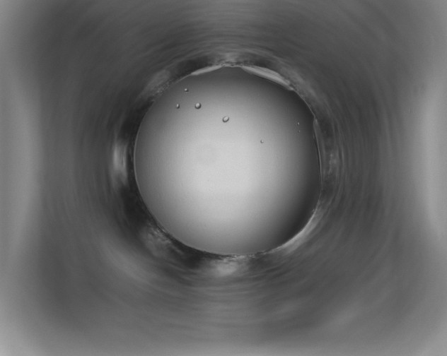 X0000113890094200909241426