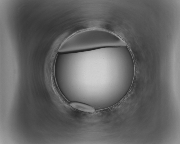 X0000113890097200909241425