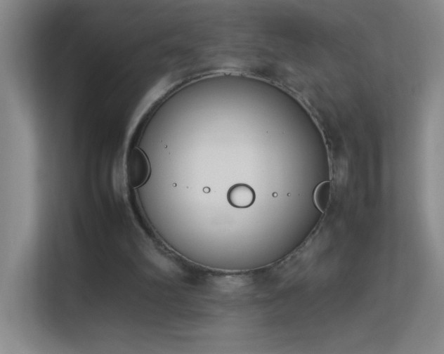 X0000113890102200909241425