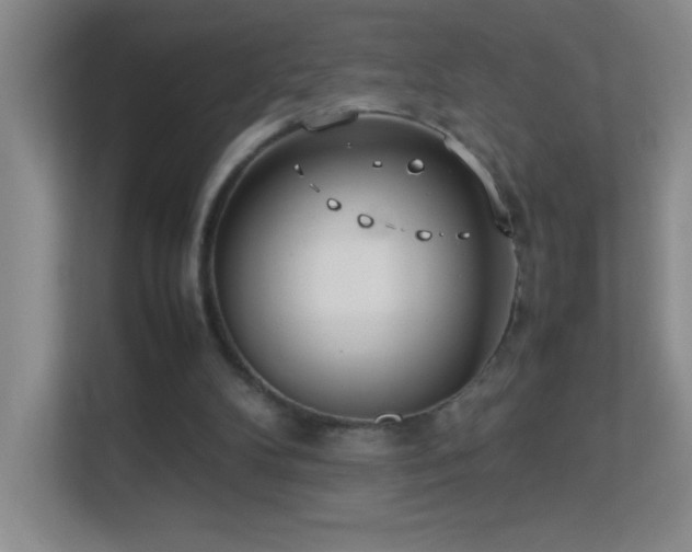 X0000113890104200909241425