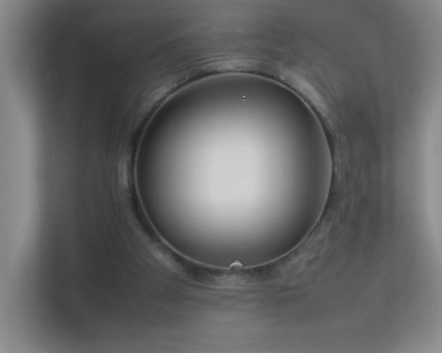 X0000113890105200909241425