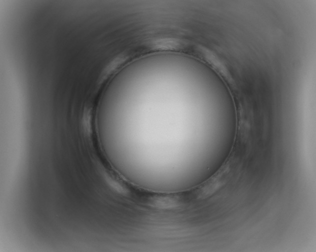X0000113890106200909241425