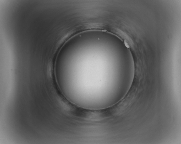 X0000113890107200909241425