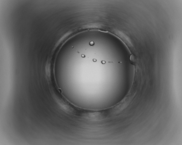 X0000113890108200909241425