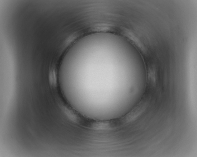 X0000113890110200909241425