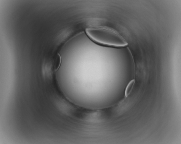X0000113890116200909241425