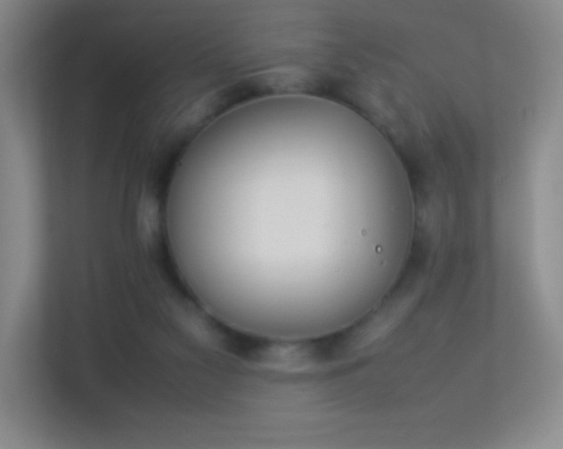 X0000113890117200909241425