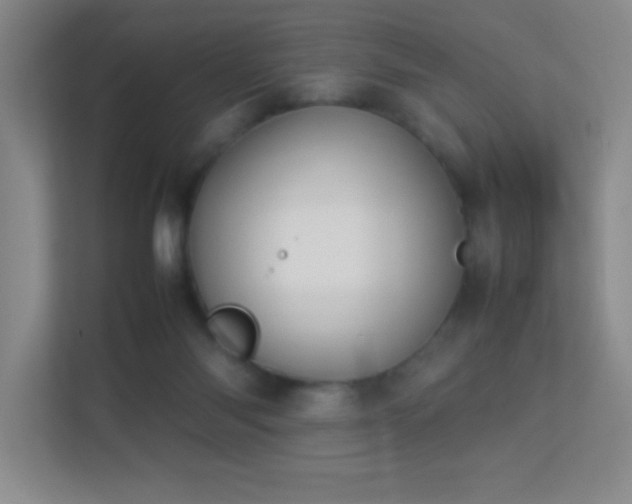 X0000113890118200909241425