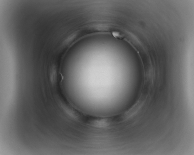 X0000113890120200909241425