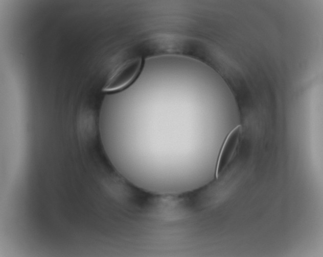 X0000113890121200909241425