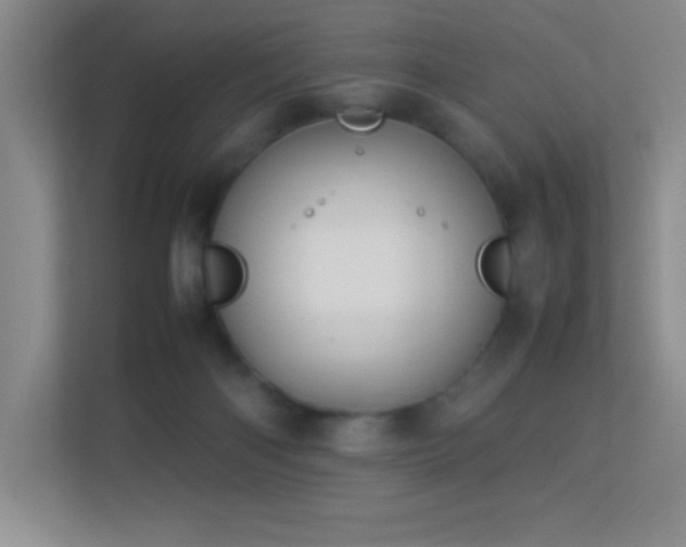 X0000113890122200909241425