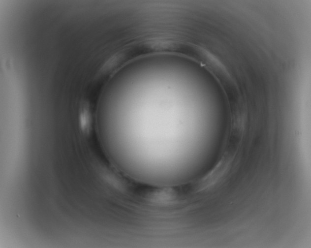 X0000113890124200909241425
