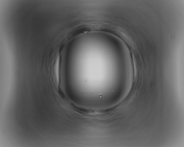 X0000113890125200909241425