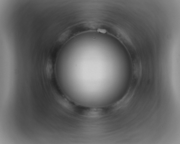 X0000113890128200909241425