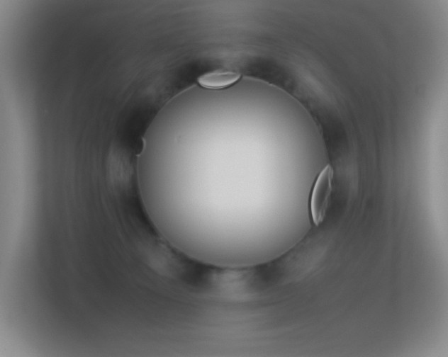 X0000113890129200909241425