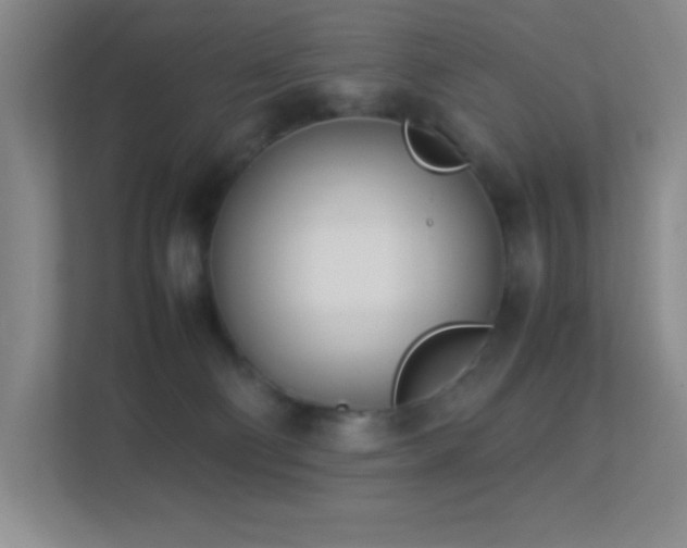 X0000113890130200909241425