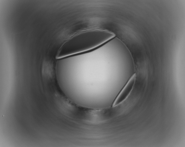 X0000113890136200909241425