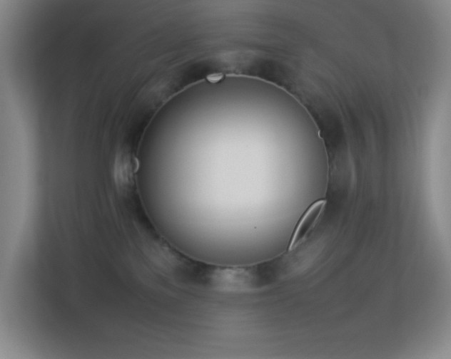 X0000113890137200909241425