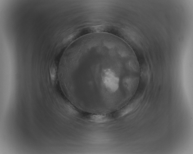 X0000113890139200909241425