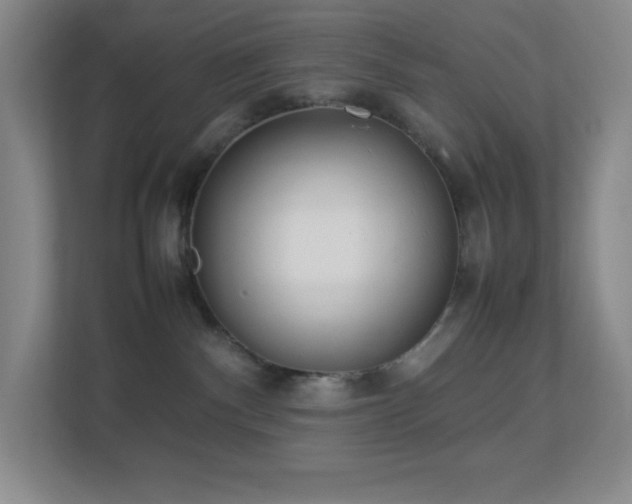 X0000113890140200909241425