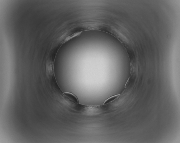 X0000113890141200909241425