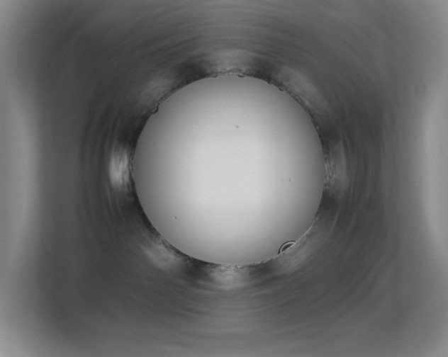 X0000113890142200909241425