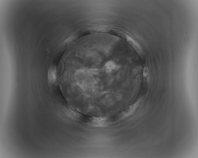 X0000113890143200909241425