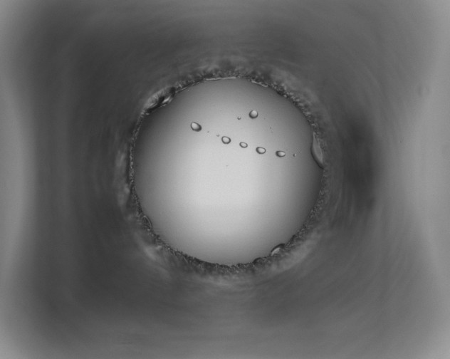 X0000113890144200909241425