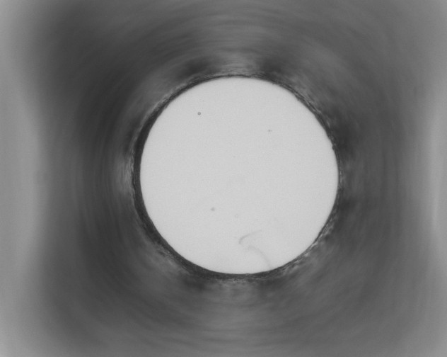 X0000113890146200909241424