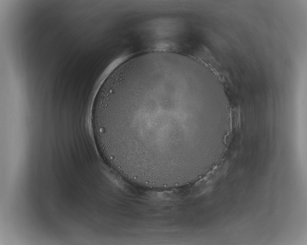 X0000113890147200909241424