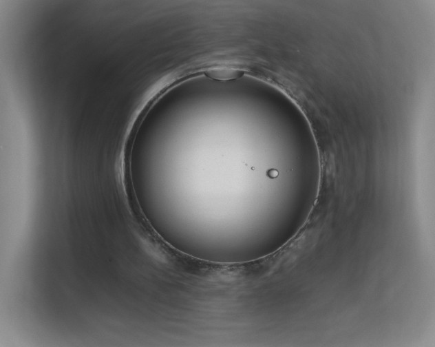 X0000113890148200909241424