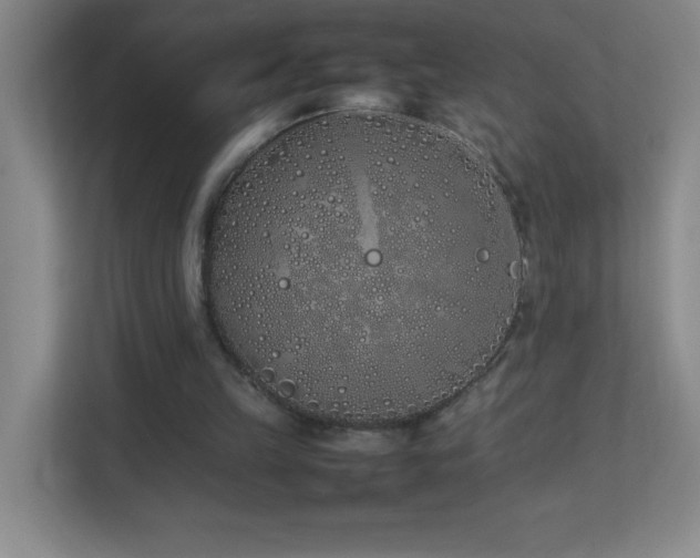 X0000113890149200909241424