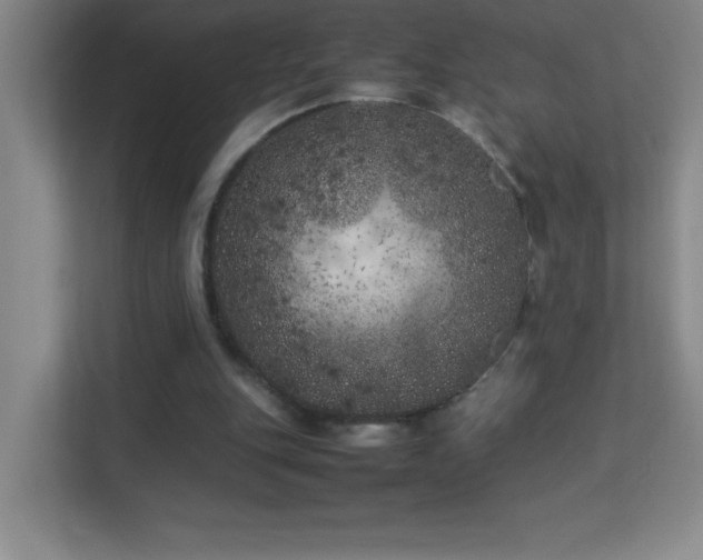 X0000113890151200909241424