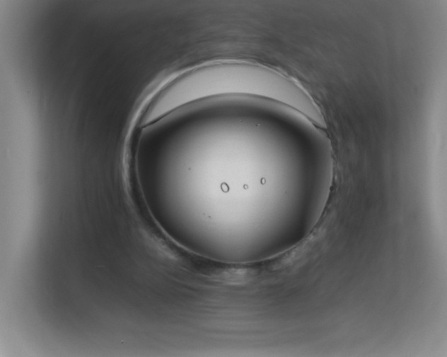 X0000113890152200909241424