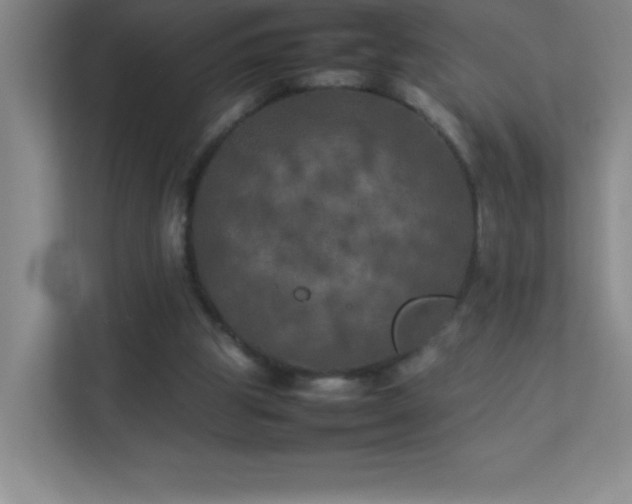X0000113890153200909241424