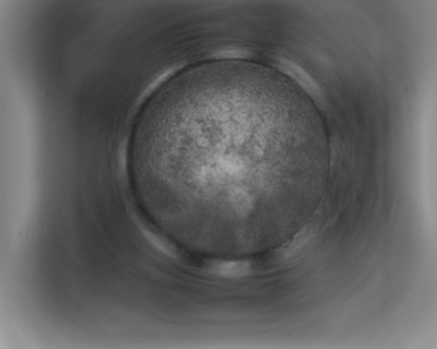 X0000113890155200909241424